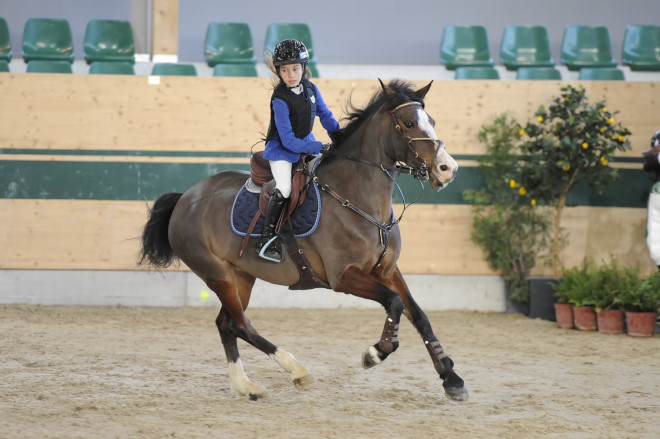 data/inhalt/events/2015/15153/Fotos horsesportsphoto Sonntag/Djelmic_Lea_PepsydEscamps_BW19-2_CSNB_Racino_11_2015_chorsesportsphoto.eu.JPG
