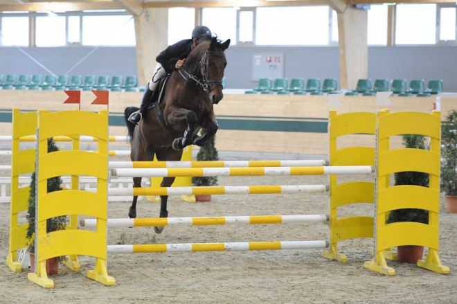 data/inhalt/events/2015/15154/Fotos horsesportsphoto Freitag/Bw_02_Oesterreicher_Zuchi_Simon_Johann_Avanto_von_Pachern.JPG