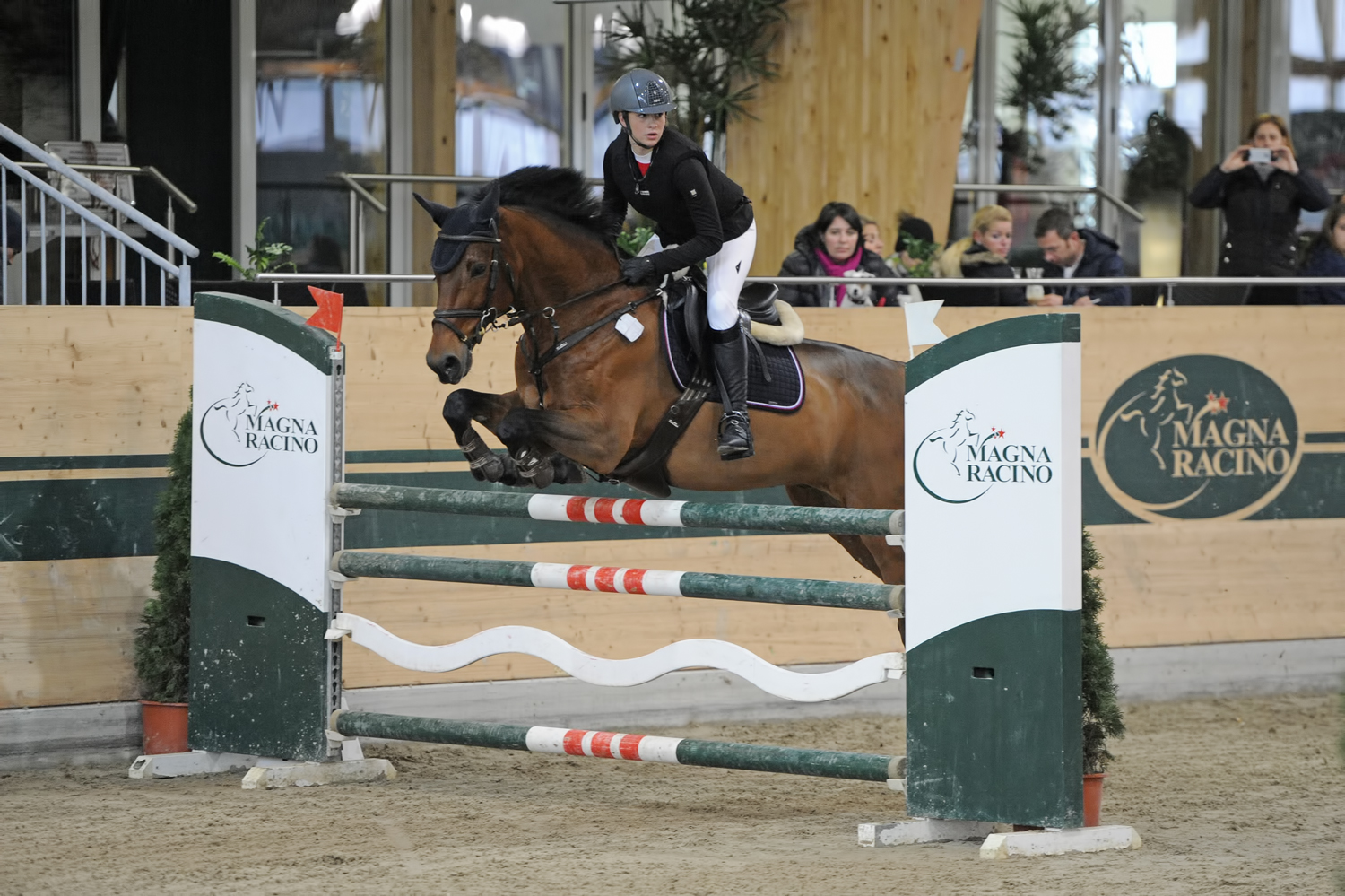 data/inhalt/events/2015/15154/Fotos horsesportsphoto Samstag/CupkovaKatarina_MrCatrik_BW07_CSI2Racino_chorsesportsphoto.eu.JPG