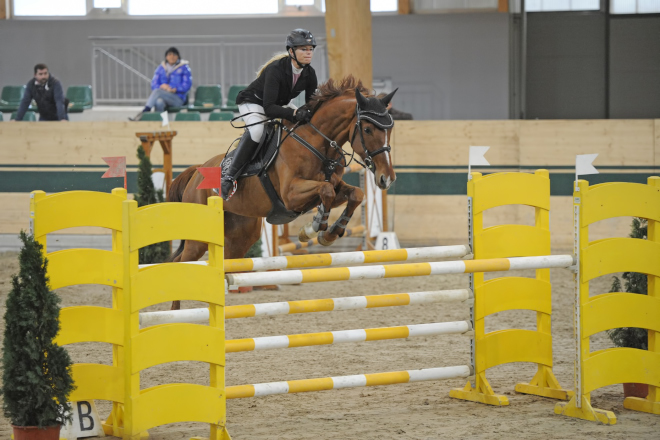 data/inhalt/events/2015/15154/Fotos horsesportsphoto Sonntag/PeintnerBirgit_DuchesseOfHeartsW_BW13_CSI2Racino_FinaleYoungster_chorsesportsphoto.eu.JPG